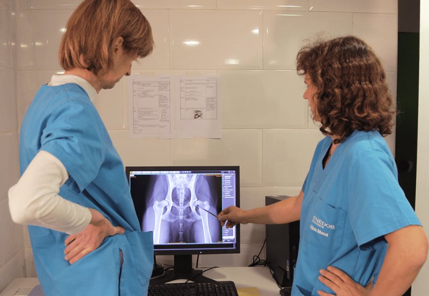 Radiografías veterinarias