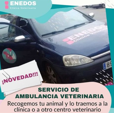 ambulancia veterinaria